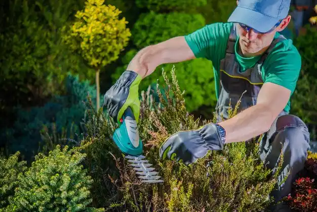 landscaping services Blanchester